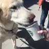 Maggie Estes - @maggieestes0 - TikTok