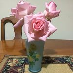 Maggie Everett - @margaret.everett.70 - Instagram