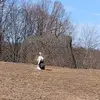 maggieeverett5 - @maggieeverett5 - TikTok
