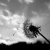 maggiefair - @maggiefair - TikTok