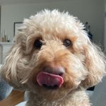 Maggie Farrell - @farrell__maggie - Instagram