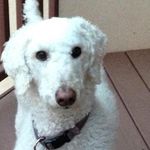Maggie Farrell - @magoofarrell - Instagram