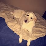 Da Maggers - @maggie_farris - Instagram