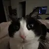 M - @maggiefarris - TikTok