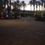 Maggie  Faust - @faustmargaret - Instagram
