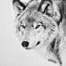 Maggie Bassett Fine Art - Facebook