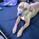 Maggie fine - @maggiefine123455 - Instagram