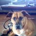 Maggie fine - Facebook