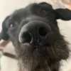 maggie - @maggiefinee - TikTok