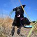 Maggie May Finney - Facebook