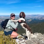 NZ Spaniels - @maggieandflint - Instagram