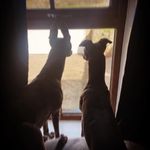 Frank&maggie - @maggiefrank19whips - Instagram