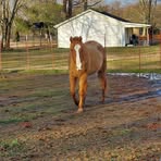 Margaret Gaither - Facebook