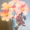 maggie - @maggieeee.good - TikTok