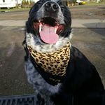 Maggie Goodwin - @maggie_goodwin0 - Instagram