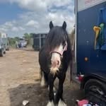 Maggie Goodwin - @maggie3554605 - Instagram