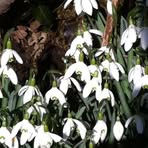 Maggie Grainger - Facebook