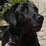 Maggie Groves - @marmitegurl - Instagram