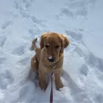 Margaret Cruickshank Groves - @groves_maggie - Instagram