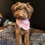 Maggie Gould - Facebook