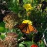 Maggie Hackett - Facebook