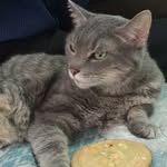 Margaret Elva Hackett Tinker - @_maggiecat - Instagram