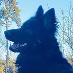 ❤️❤️Maggie❤️❤️ - @chodsky_maggie_hammer - Instagram