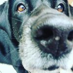 Maggie Hanks photography - @hanksma26075 - Instagram