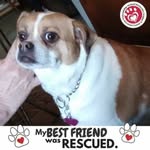 Maggie Pardee-Harmon - @maggieharmon3 - Instagram