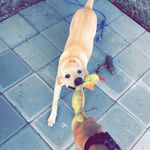 Maggie Lee Harrell - @maggie_lee_harrell - Instagram