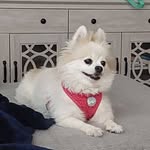 Maggie Elder Helm - @maggiehelm1961 - Instagram