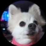 Maggie Elder Helm - @magg_iehelm1961 - Instagram