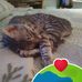 Margaret Helm - Facebook