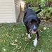 Maggie Hendrickson - Facebook