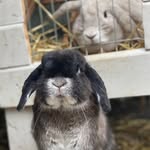 @chester.maggie.luna - Instagram