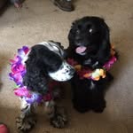 Maggie & Chester - @_maggie_and_chester - Instagram