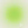 _Maggie_Holman_ - @maggie_holman - TikTok