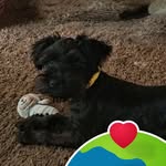 Maggie Hooker - @maggiehooker51 - Instagram