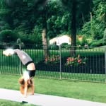Maggie Hurley - @mags_tumbless - Instagram