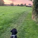 Maggie & Ivy - @maggieandivy2023 - Instagram