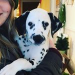 Maggie Ivy 🌿 - @maggie_dally - Instagram