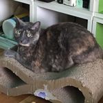 Margaret “Maggie” - @maggie.ivy.frobose - Instagram