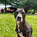 Maggie Jamison - @maggiemayjam - Instagram
