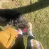 Maggie Johnson - @maggie.johnson73 - TikTok