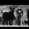 maggie_johnston9 - @maggie_johnston9 - TikTok