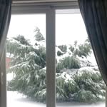 Maggie Johnston - @maggiejohnston362 - Instagram