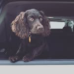 Maggie Johnston - @magnoliaofmulberry - Instagram
