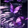 Just_Maggie🦋 🇦🇺.🇿🇼 - @maggie_kays - TikTok