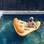 Maggie Knox - @knoxmags - Instagram