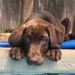 Maggie Knox - @cute_maggie_sue - Instagram